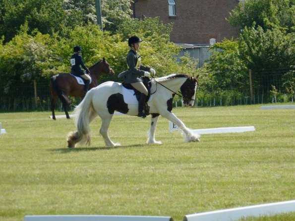 1272421_929302637135944_8364771486842043429_o