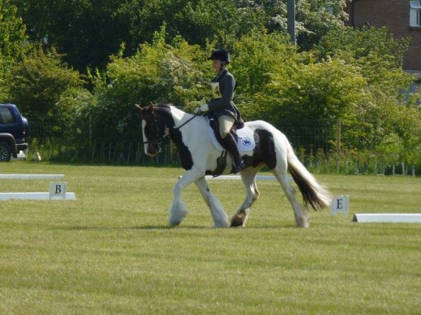 1493349_929302597135948_8015226295082882552_o