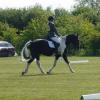 JD DRESSAGE 1