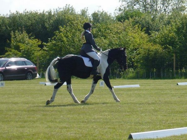 JD DRESSAGE 1