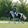 JD DRESSAGE 2