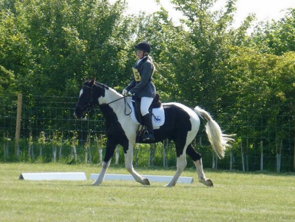 JD DRESSAGE 2