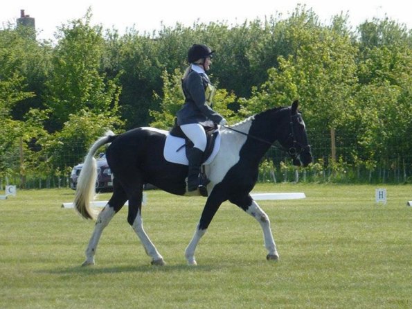 JD DRESSAGE 3