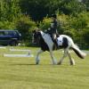 LANCE DRESSAGE 1