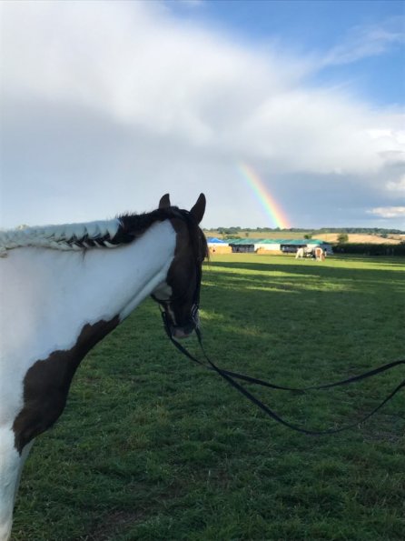 20643797_10211600390943142_631547725_n