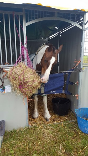 Lance Super Greeders