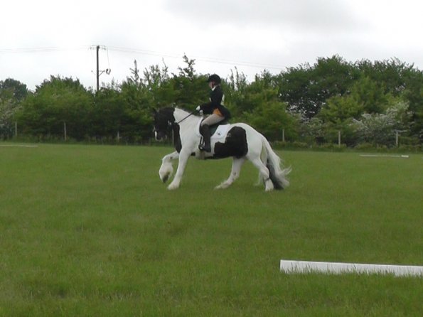 05-21-2016_095754(2)