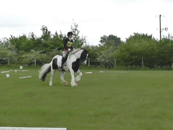 05-21-2016_095754(5)