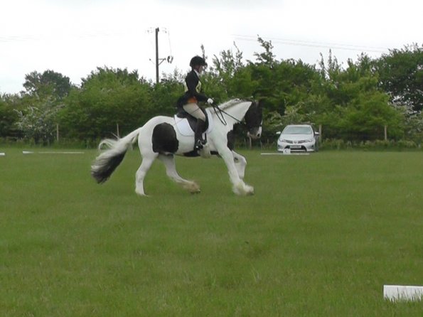 05-21-2016_095754(6)