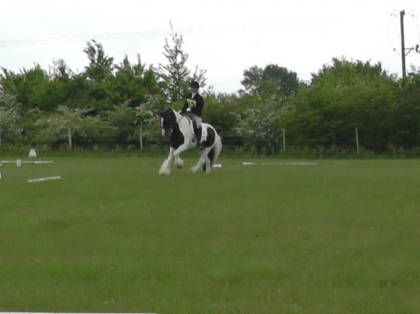 05-21-2016_095754(7)