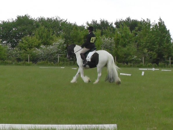 05-21-2016_095754(9)