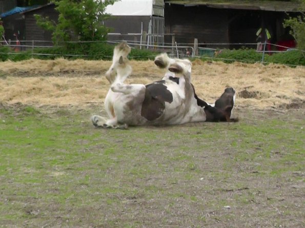 05-21-2016_160810(1)