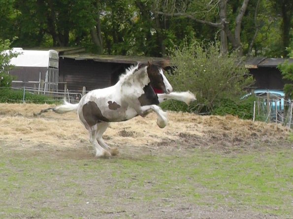 05-21-2016_160810(3)