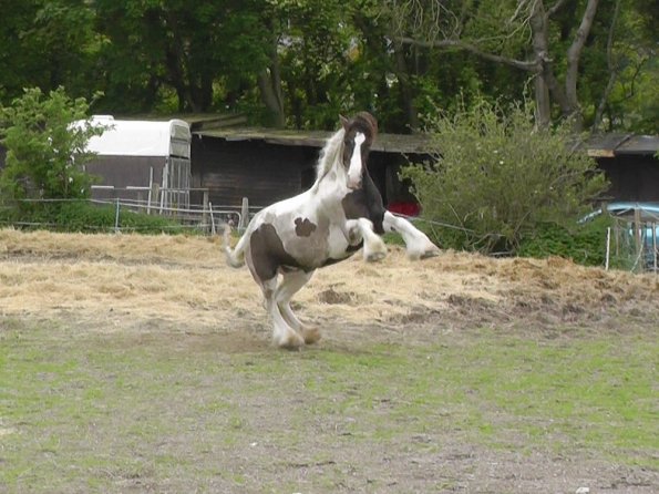 05-21-2016_160810(4)