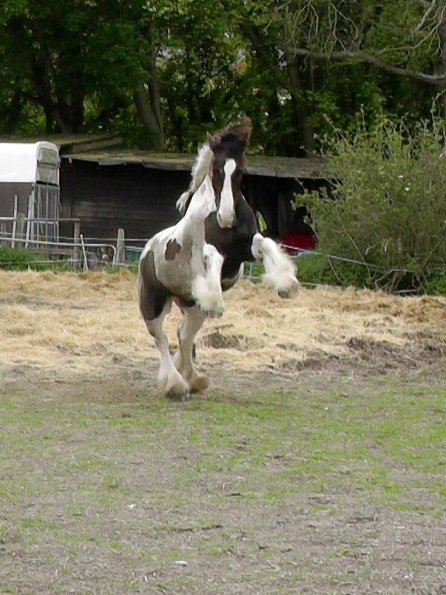 05-21-2016_160810(5)