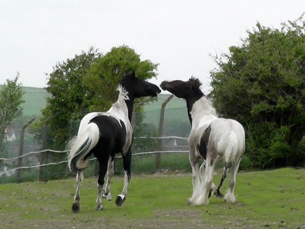 05-21-2016_160810(8)