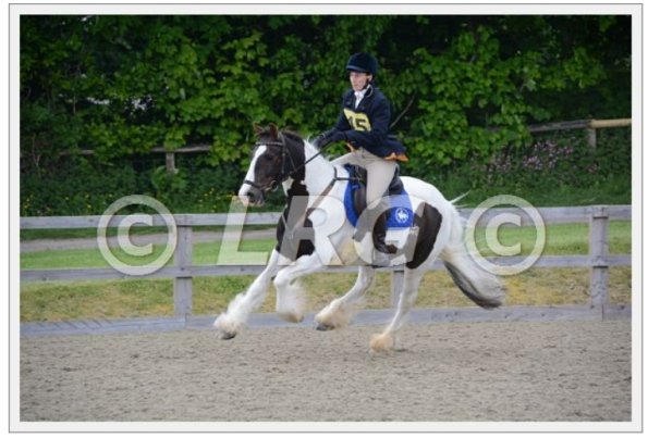 capture-20160522-210155