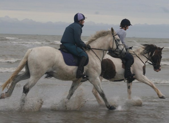 20280682_1956985771225866_2162326665747776487_o