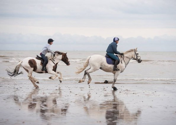 20292588_1956985431225900_2664093521370380245_n