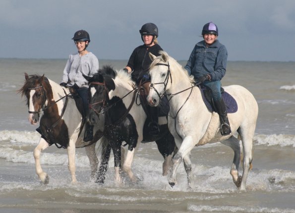 20369542_1956985724559204_3696419236921204247_o