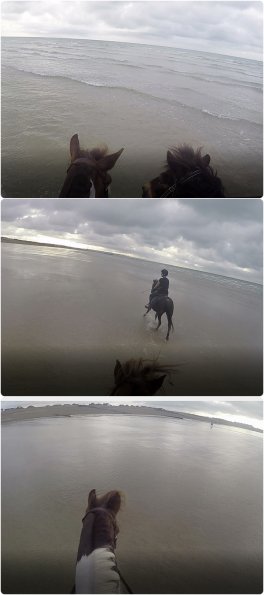 LAnce and Angel-vert