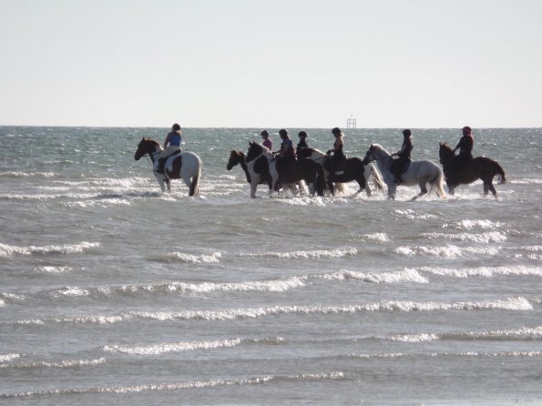 Sunny beach ride JD Lance (12)