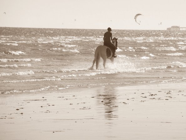 Sunny beach ride JD Lance (2)