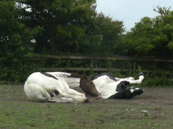 07-05-2015_104139(2)