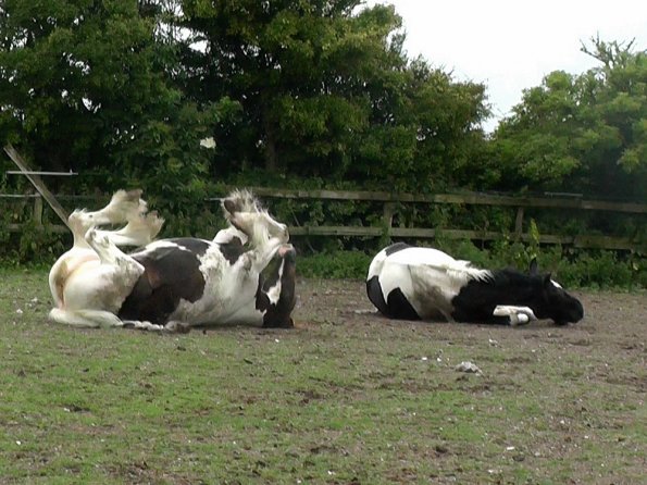 07-05-2015_104139(3)