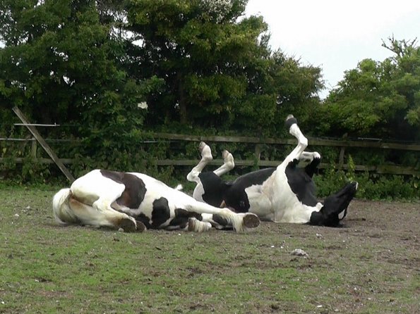 07-05-2015_104139(4)