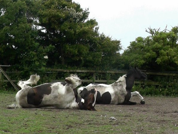 07-05-2015_104139(5)