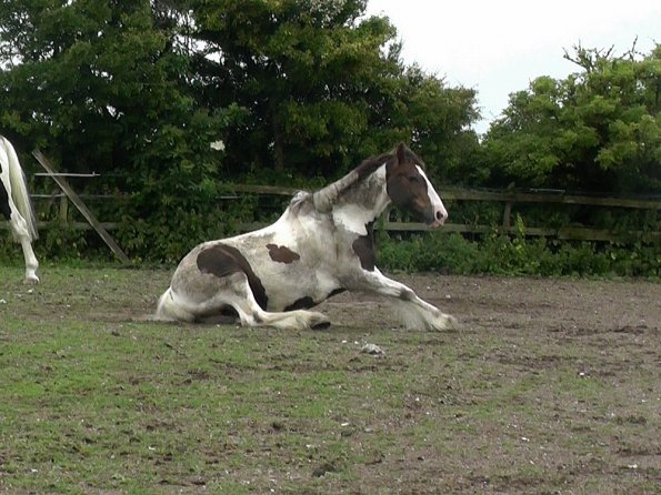 07-05-2015_104139(7)