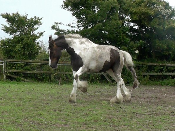 07-05-2015_104139(8)