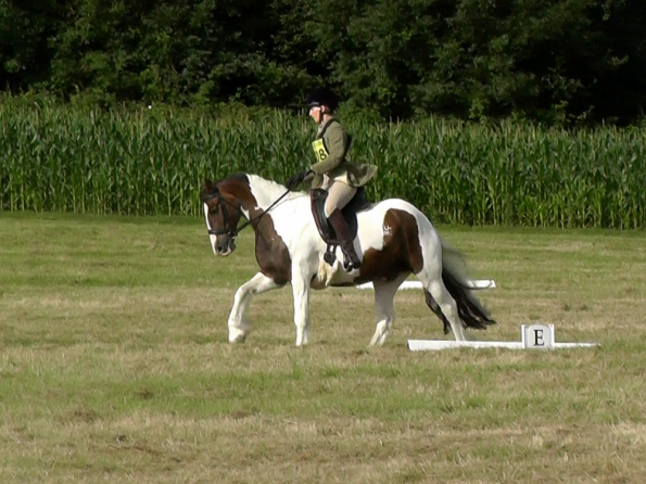 Dressage (11)
