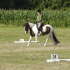 Dressage (8)