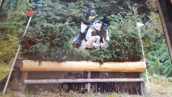 XC Brush fence 3 Spidge