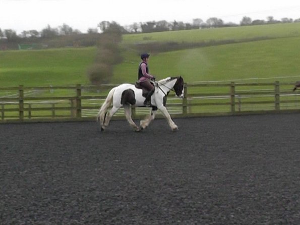 Lance warming up (1)