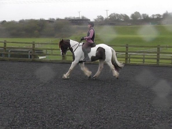 Lance warming up (4)