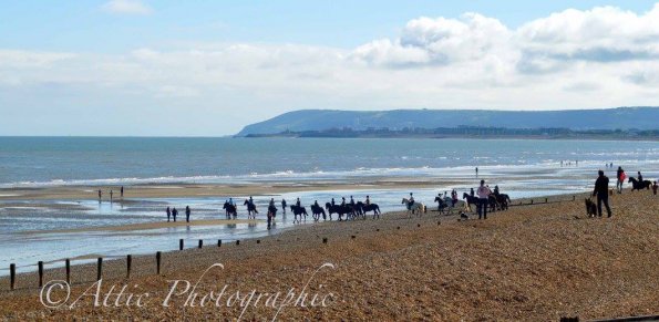 13558783_1257998664219132_3649618796622602215_o