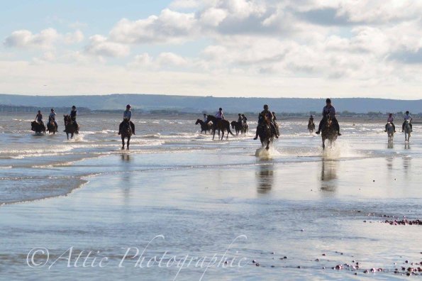 13580488_1257999274219071_7961844873079852538_o