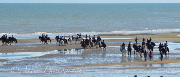 13603572_1257998697552462_6427428352165386234_o