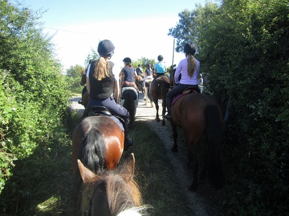 Coakham beach ride (10)
