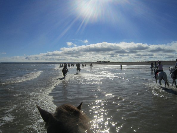 Coakham beach ride (16)