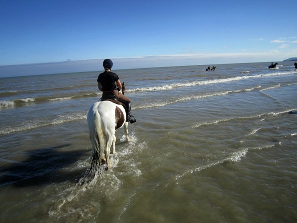 Coakham beach ride (17)