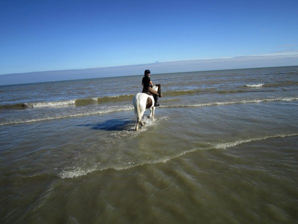 Coakham beach ride (18)