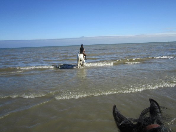 Coakham beach ride (19)