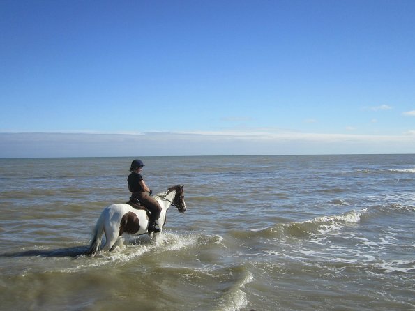 Coakham beach ride (20)