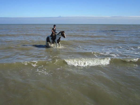 Coakham beach ride (21)