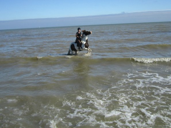 Coakham beach ride (22)