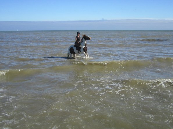 Coakham beach ride (23)